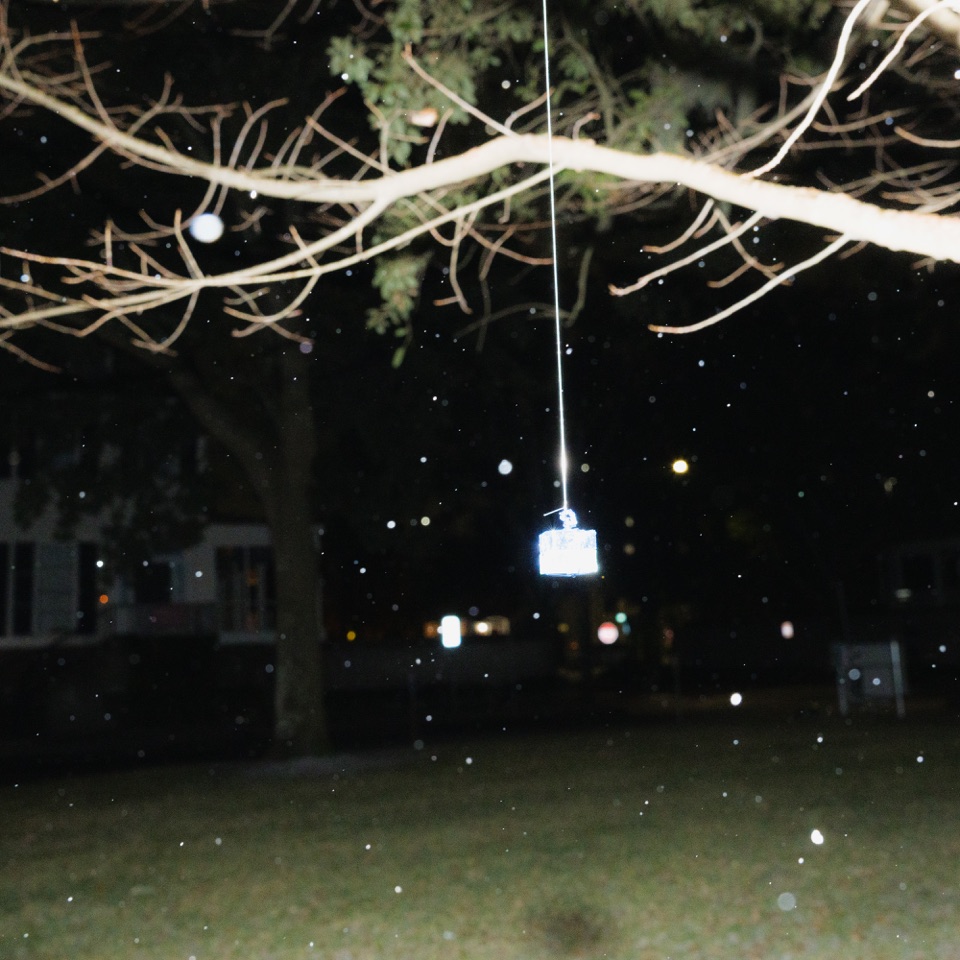 A light hanging from a tree branch at night