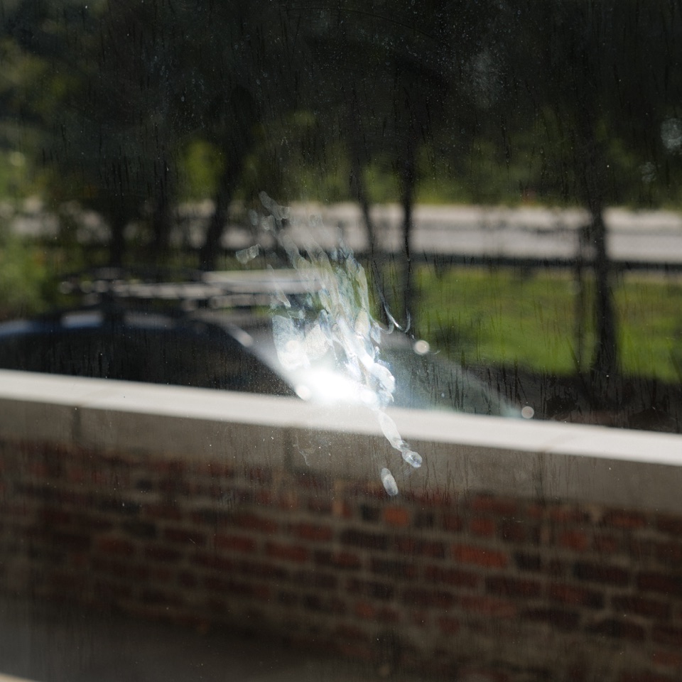 The dust imprint left by a bird on a window