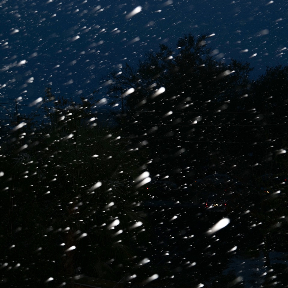 Snow falling past palm trees at night
