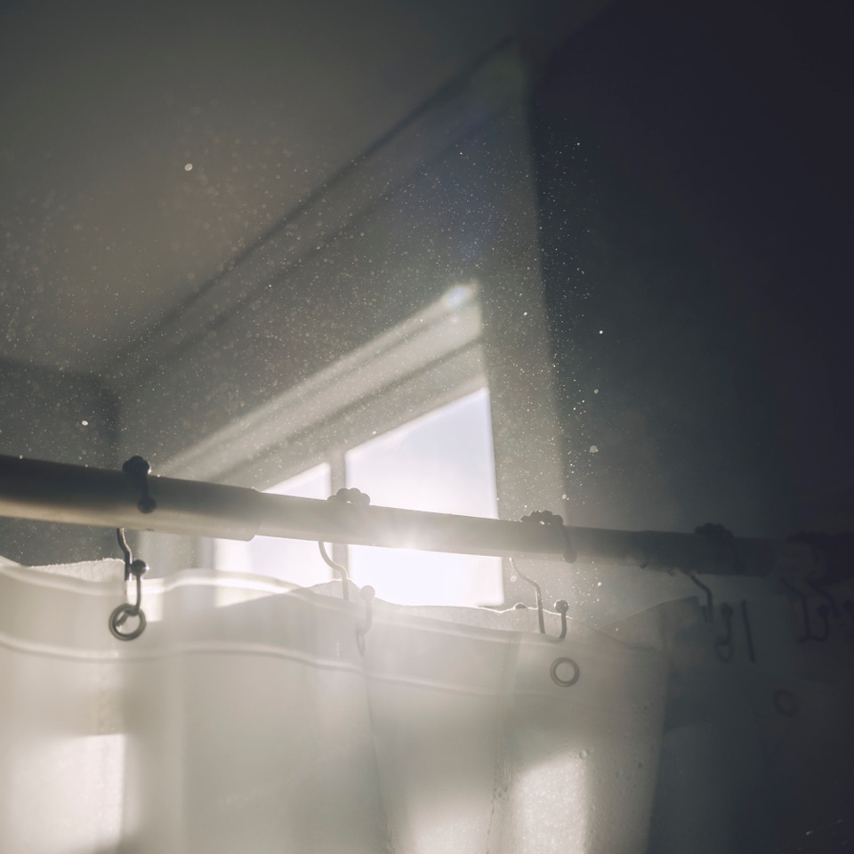 A shower curtain in soft daylight